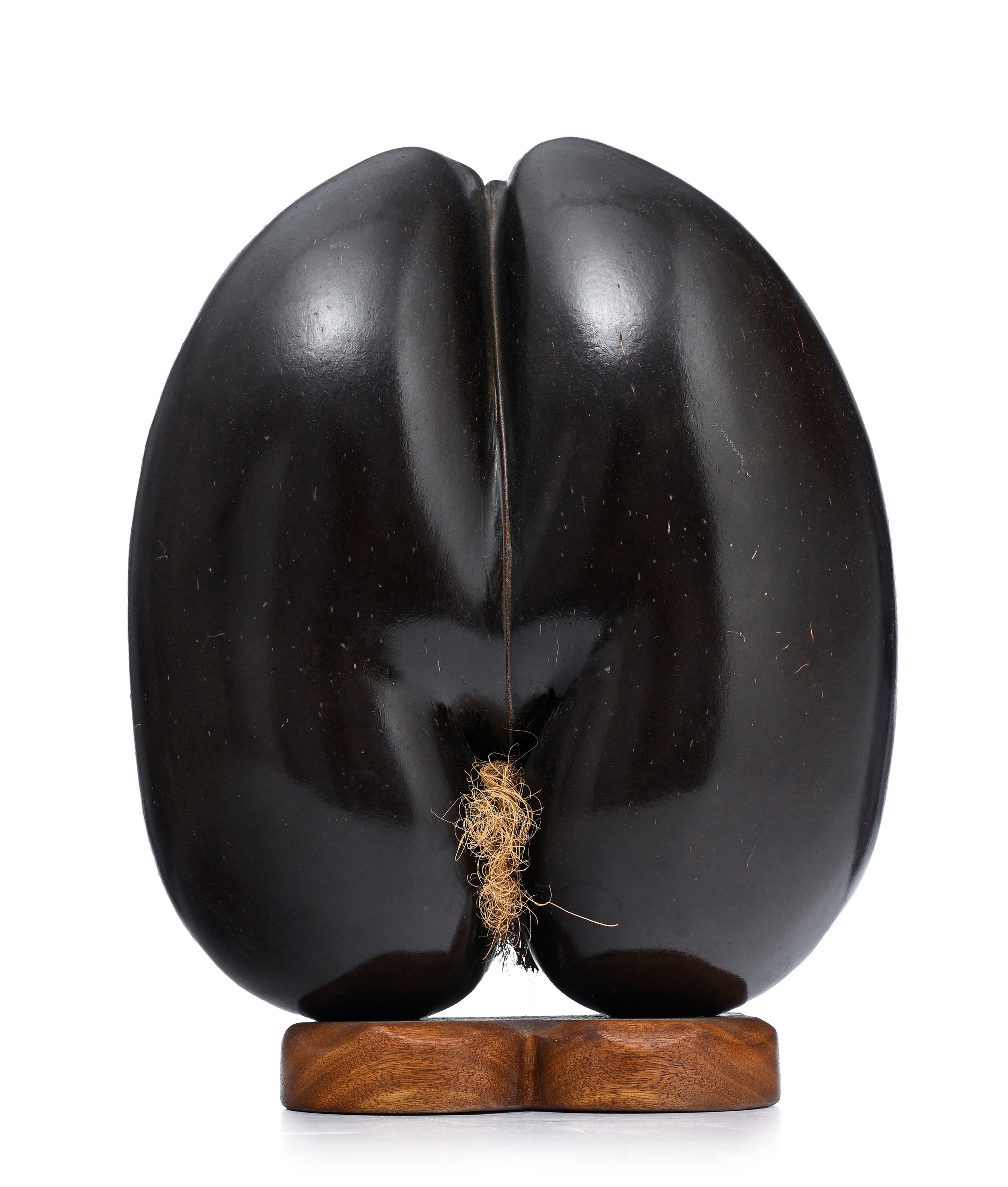 coco-de-mer-ou-coco-fesse-seychelles-poli-lisse-piguet
